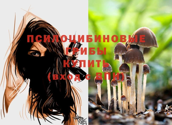 spice Армянск