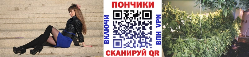 Марихуана план  купить закладку  Тара 